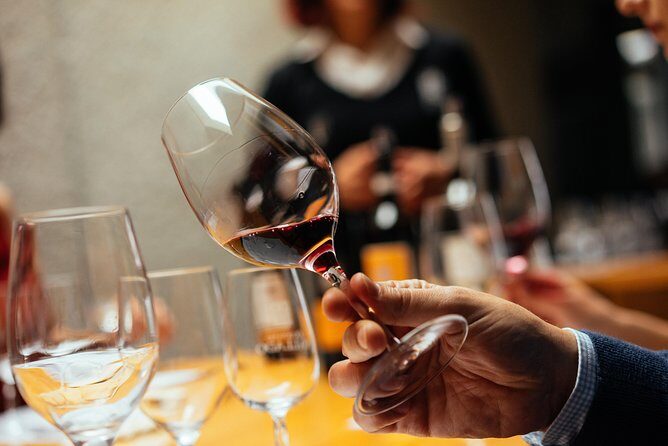 Douro Valley EXCLUSIVE Private Day Trip by Car with Boat Included - What the Itinerary Looks Like