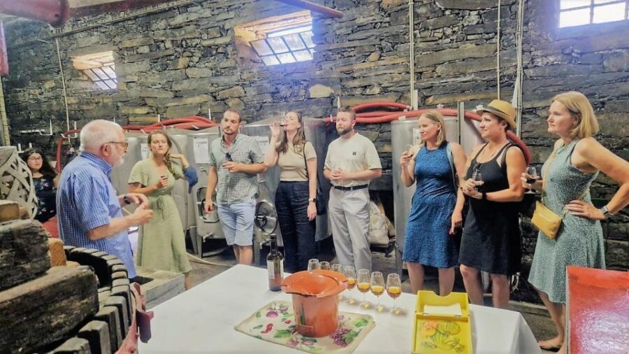 Douro Valley-Expert Guide-Boat-Lunch-Tastings PremiumService - The Experience in Detail