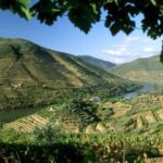 Douro Valley: Full-Day Private Tour from Porto - Highlights of the Tour