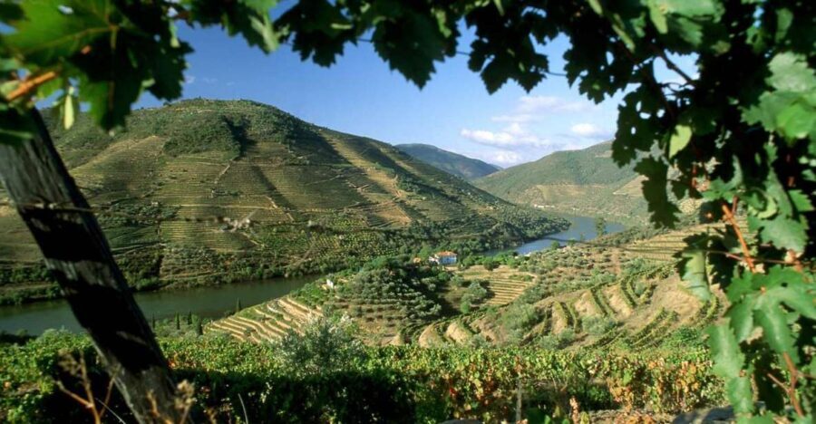 Douro Valley: Full-Day Private Tour from Porto - Highlights of the Tour
