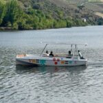 Douro Valley: Guided Tour with Wine Tasting and Lunch - What We Like—and What’s Just Okay