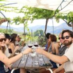 Douro Valley: Half-Day, with 1 winery & 1-h boat tour - The Bottom Line: Who Should Consider This Tour?