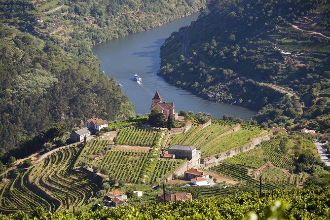 Douro Valley Private Full-Day Tour from Porto - What’s Included and What’s Not