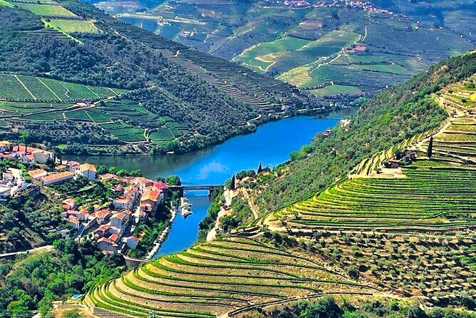 Douro Valley Private Tour: 2 Farms, Lunch & Boat Trip - In-Depth Look at the Itinerary