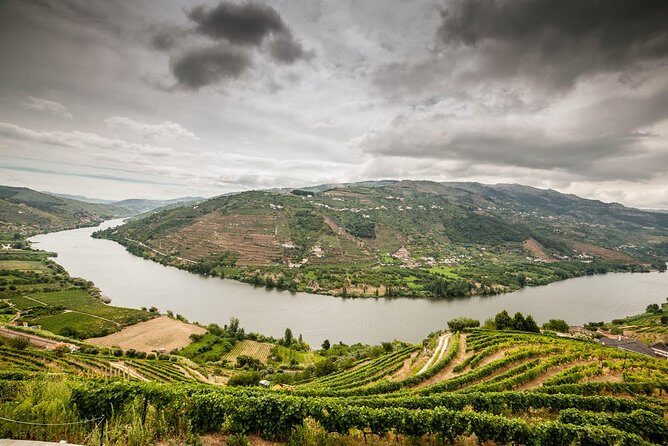 Douro Valley Private Tour from Oporto - What we loved (and what to consider)