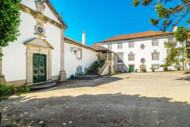 Douro Valley: Private Tour & Guided Wine & Olive Oil Tasting - The Wines and Olive Oil: Authentic Flavors in Every Sip