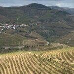 Douro Valley private tour includes wine tasting and boat trip - FAQs