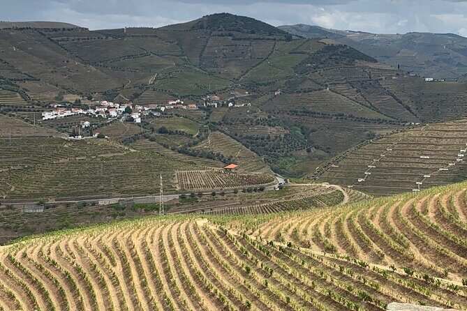 Douro Valley private tour includes wine tasting and boat trip - FAQs