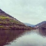 Douro Valley Private Wine Tour from Lisbon - What Travelers Say
