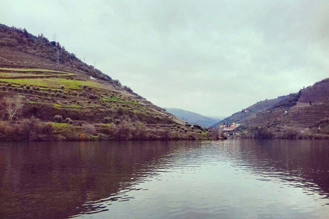 Douro Valley Private Wine Tour from Lisbon - What Travelers Say