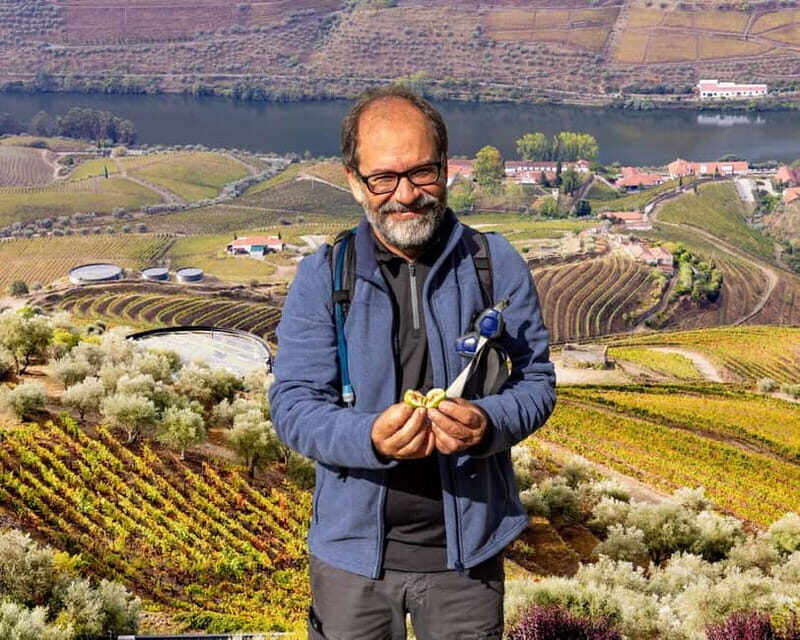 Douro Valley: Provesende and São Cristóvão Guided Hike - The Itinerary Breakdown