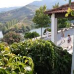 Douro Valley: Quinta do Tedo Winery Tour and Tasting - Detailed Breakdown of the Experience