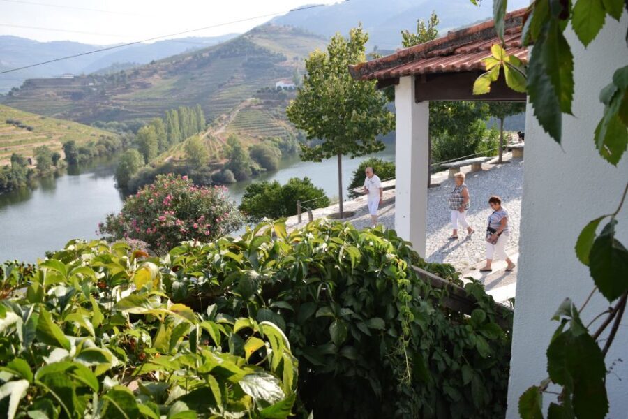 Douro Valley: Quinta do Tedo Winery Tour and Tasting - Detailed Breakdown of the Experience