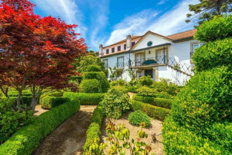 Douro Valley: Quinta Santa Júlia Tour, Wine Tasting & Lunch - The Practicalities: What You Need to Know