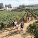 Douro Valley: Real Small-Group, Wine Tasting, Lunch & Boat - The Experience in Detail
