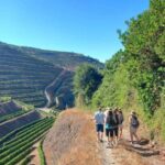 Douro Valley: sunset walking tour with a local - FAQs