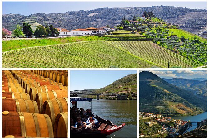 Douro Valley tour from Porto - What We Think About the Value