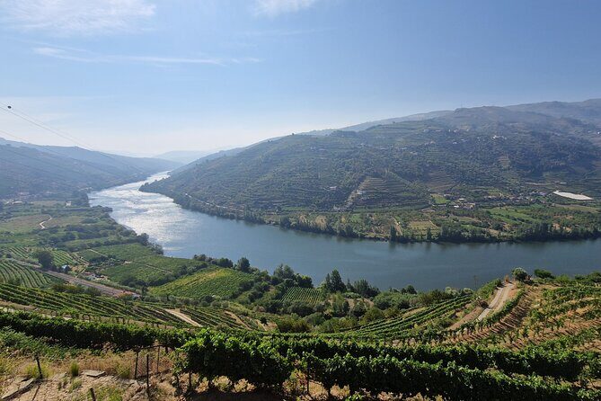 Douro Valley Tour: Wine Tasting River Cruise and Lunch from Porto - Exploring the Douro Valley Tour in Detail