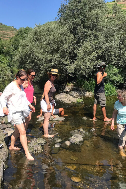Douro Valley: water walking adventure with local lunch - Is This Tour Worth It?