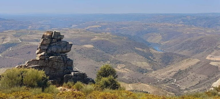 Douro Valley: Wine & Chocolate Tour in the Wine Region - What Travelers Say