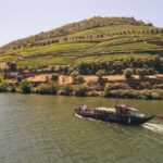 Douro Valley Winery Day Trip with River Cruise - What Works Well?