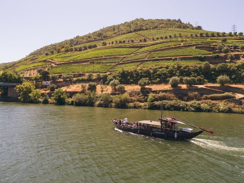 Douro Valley Winery Day Trip with River Cruise - What Works Well?