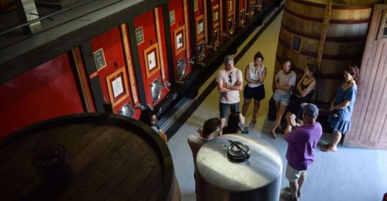 Douro Valley: Winery Tour at Quinta do Tedo and Tastings - Is It Worth the Price?