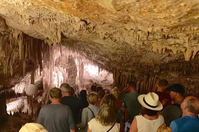 Drach Caves and Pearl Shop Mallorca Half Day Tour - Price and Value for Money