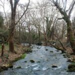 Dream Tour Kavala: Aggitis River Cave Crossing & Winery Tour - The Experience in Details