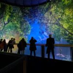 Dresden: 360° Panorama Amazonia Entry Ticket - The Artistic Creation