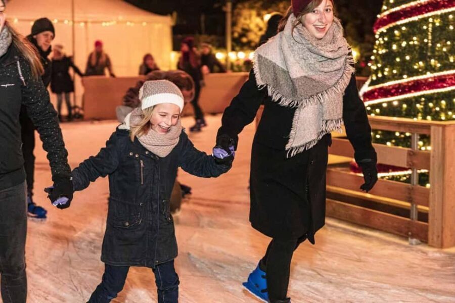 Dresden: Christmas Garden Dresden Entrance Ticket - The Light Displays and Atmosphere