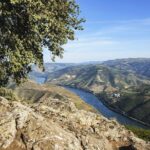 Driver with Private Vehicle in the Douro Valley - FAQ: Practical Questions About the Douro Private Driver Experience