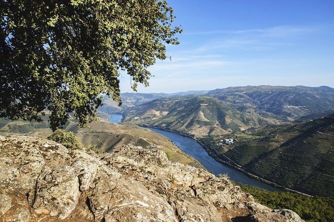 Driver with Private Vehicle in the Douro Valley - FAQ: Practical Questions About the Douro Private Driver Experience