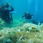 Dubrovnik: 1-Day Discover Scuba Diving Course - A Deep Dive into the Experience