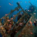 Dubrovnik: 1-Day Diving Package - Who This Tour Is Best For