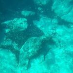 Dubrovnik: Blue Cave & Elaphiti islands & Optional Lunch Onboard - Practical Details & Considerations