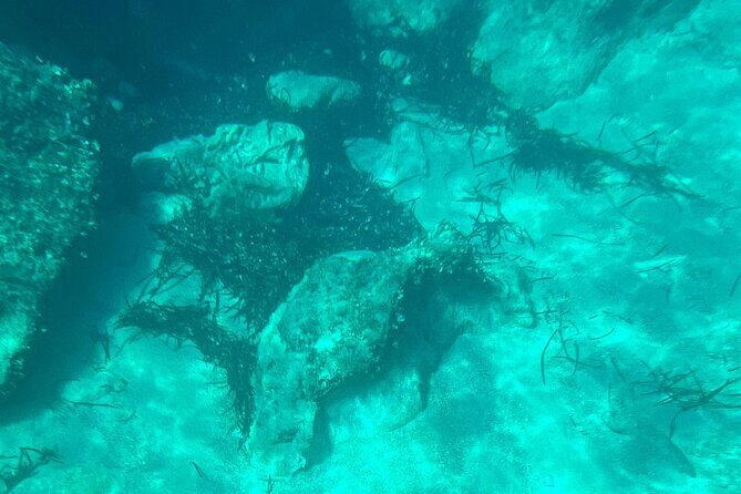 Dubrovnik: Blue Cave & Elaphiti islands & Optional Lunch Onboard - Practical Details & Considerations