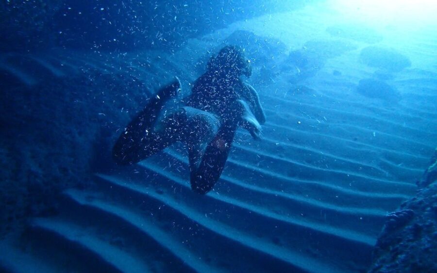 Dubrovnik: Blue Cave Tour with Panoramic Old Town View - Why This Tour Gets Such High Praise