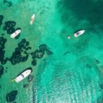 Dubrovnik: Blue & Green Caves Private Boat Tour with Drinks - The Fine Details: What Makes This Tour Stand Out