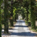 Dubrovnik: Game of Thrones Locations Driving Tour - The Value of the Tour