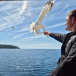 Dubrovnik: Island Boat Tour with Drinks & Lunch Option - What We Loved About the Tour