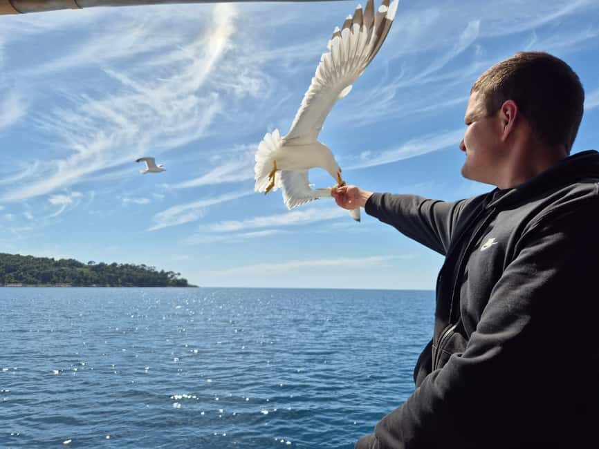 Dubrovnik: Island Boat Tour with Drinks & Lunch Option - What We Loved About the Tour