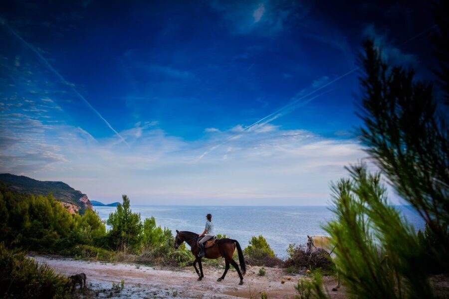 Dubrovnik Kojan Koral: Horseback Riding - The Pickup and Arrival