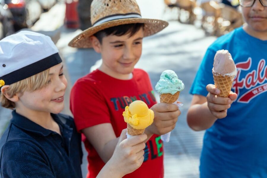 Dubrovnik: Private Family Friendly City Tour with Guide - Key Points