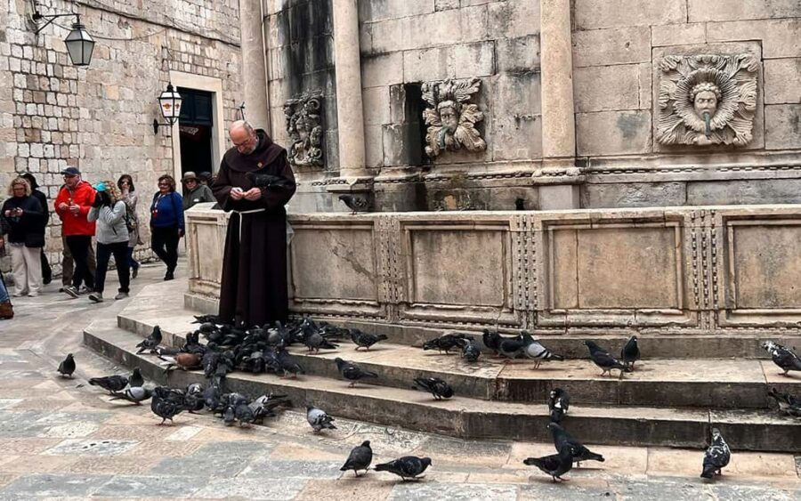 Dubrovnik: Small-Group Guided Old Town History Walking Tour - The Highlights of the Tour