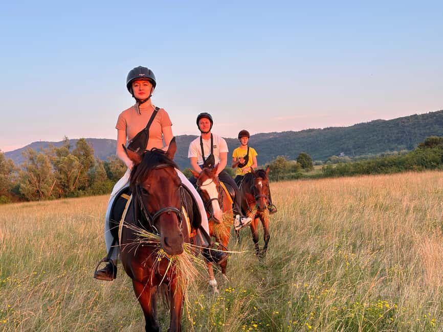 Dubrovnik: Sunset Horseback Ride with Transfers - The Practicalities: How It Works