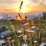 Dubrovnik: Sunset Panorama Tour with Glass of Wine - The Experience: What Travelers Say