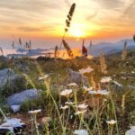 Dubrovnik Sunset Tour with Wine Tasting - Genuine Experiences from Reviews