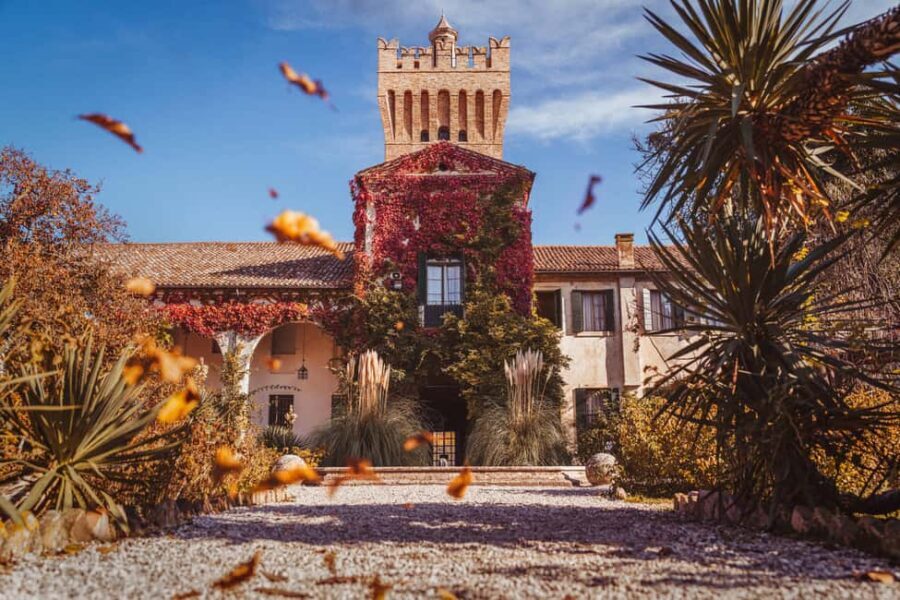 Due Carrare: San Pelagio Castle Entry Ticket - The Flight & Art Exhibition