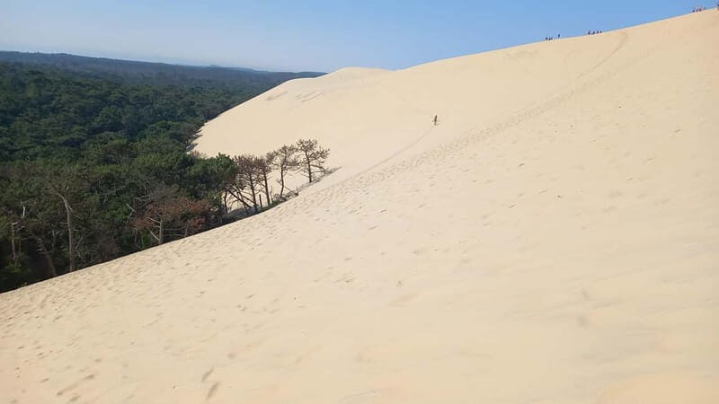 Dune du Pilat, Oysters Tasting and Arcachon! What else ? - Climbing the Dune du Pilat
